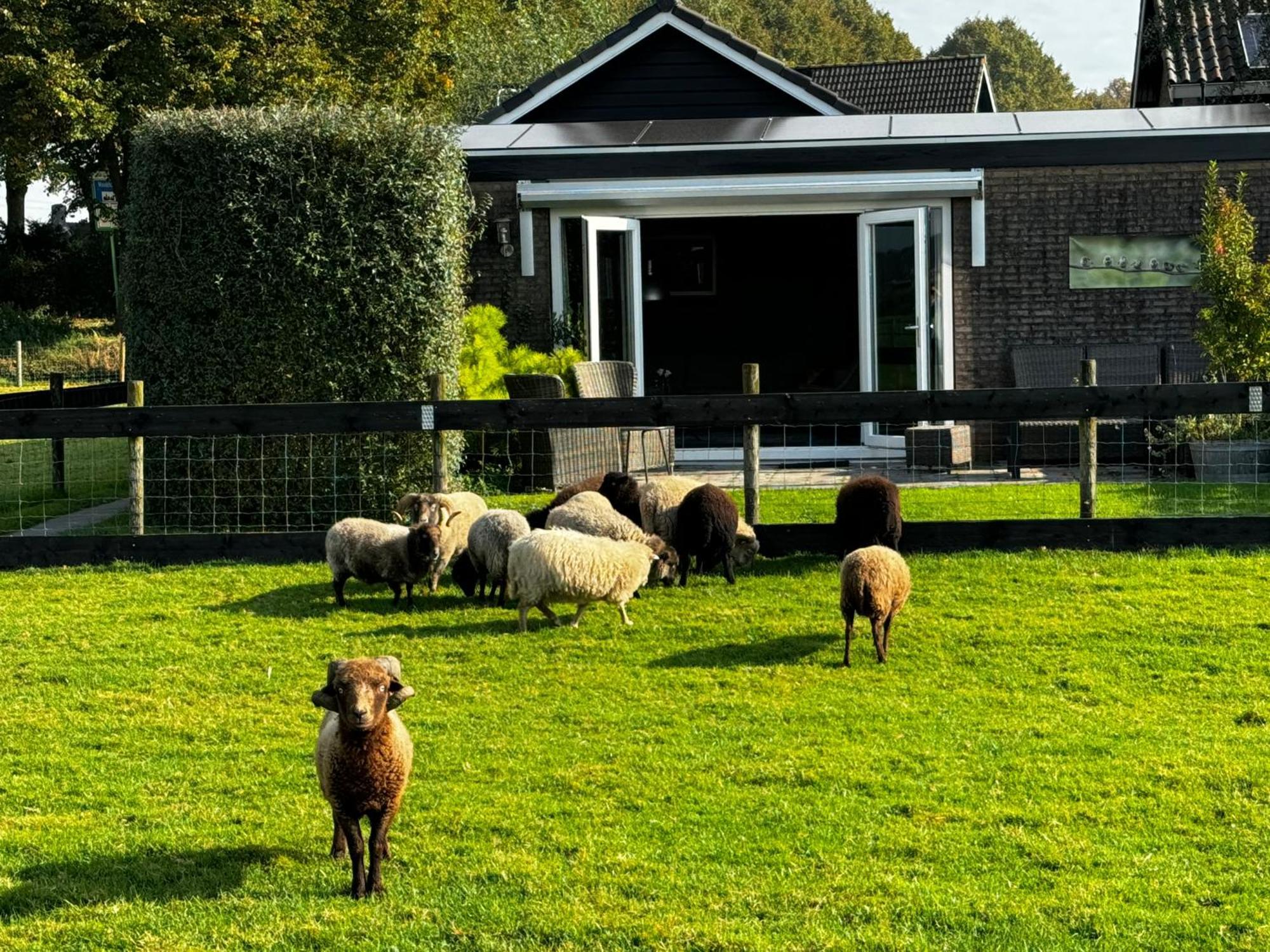 Vakantiewoning Le Garaazje 'S-Gravendeel Kültér fotó