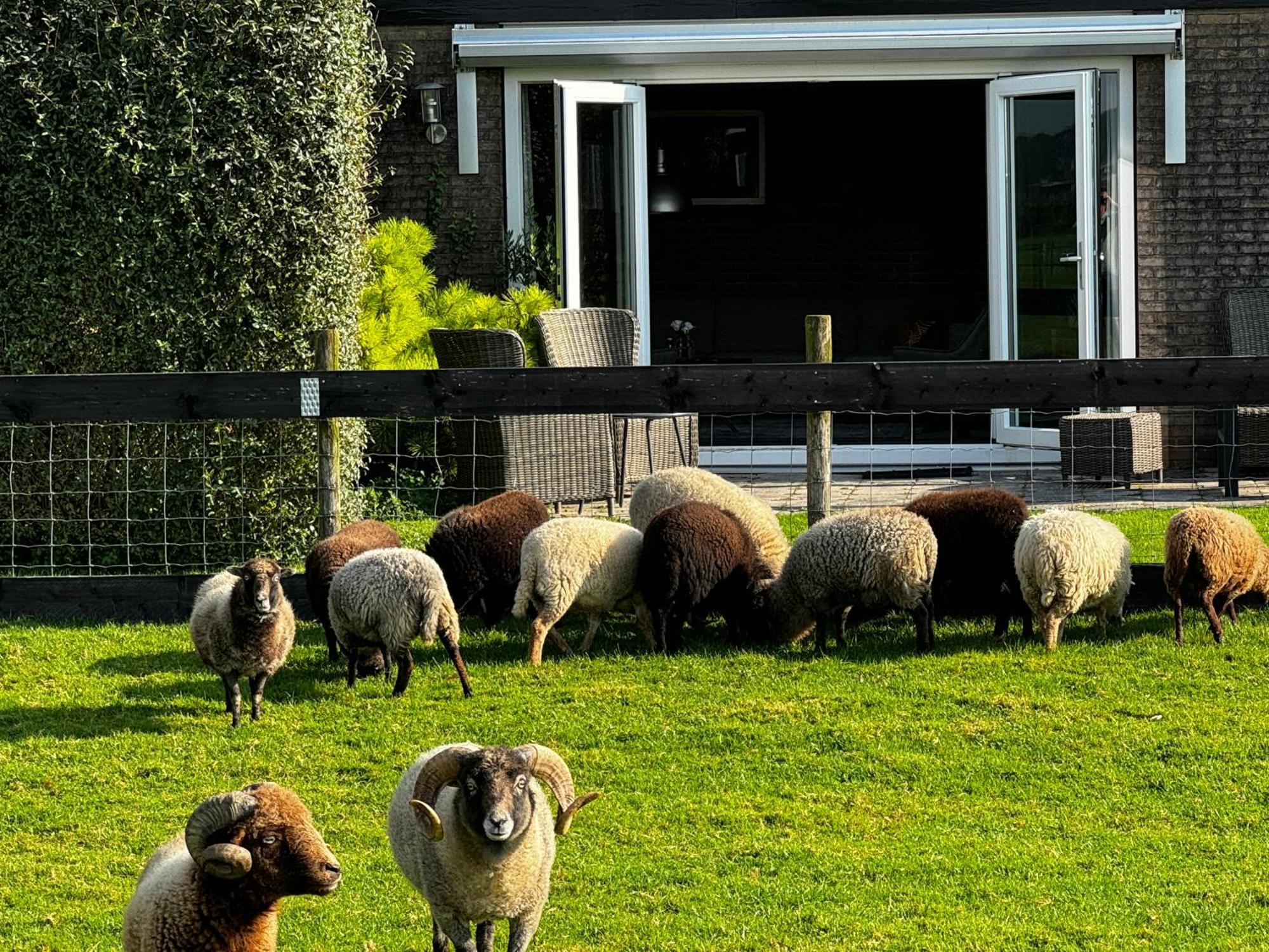 Vakantiewoning Le Garaazje 'S-Gravendeel Kültér fotó