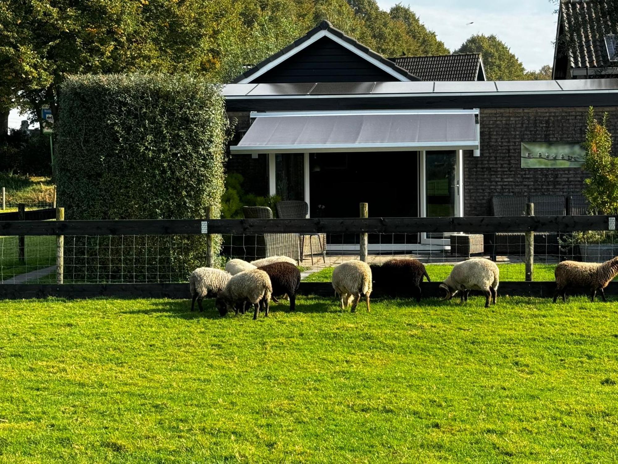 Vakantiewoning Le Garaazje 'S-Gravendeel Kültér fotó