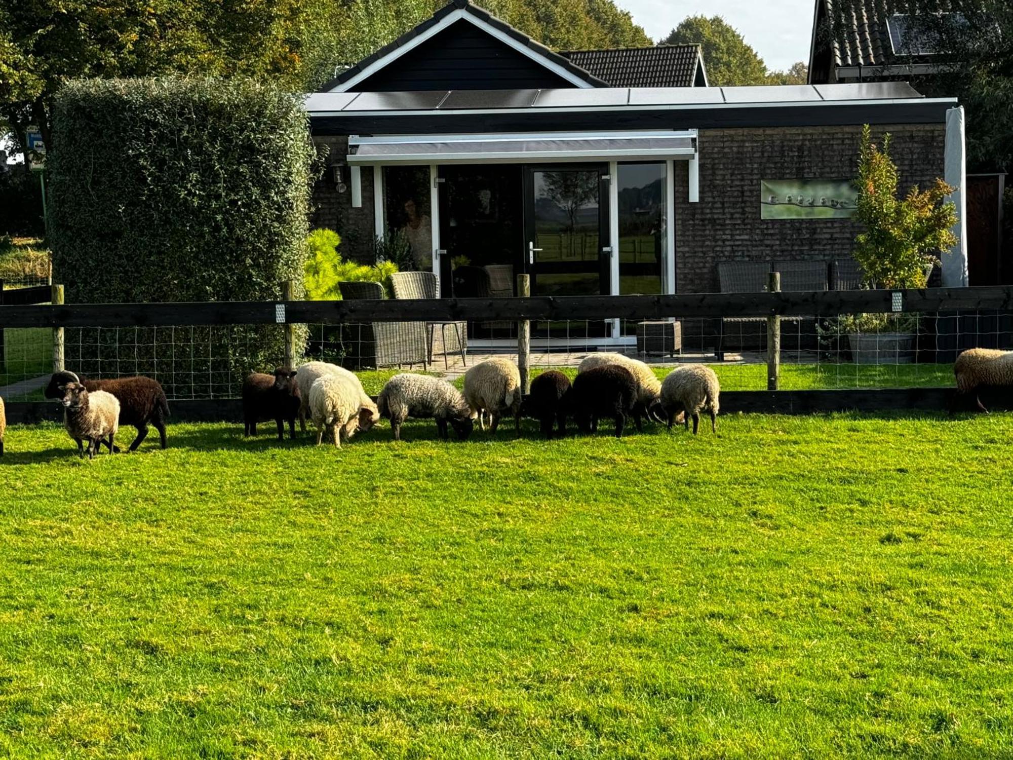 Vakantiewoning Le Garaazje 'S-Gravendeel Kültér fotó